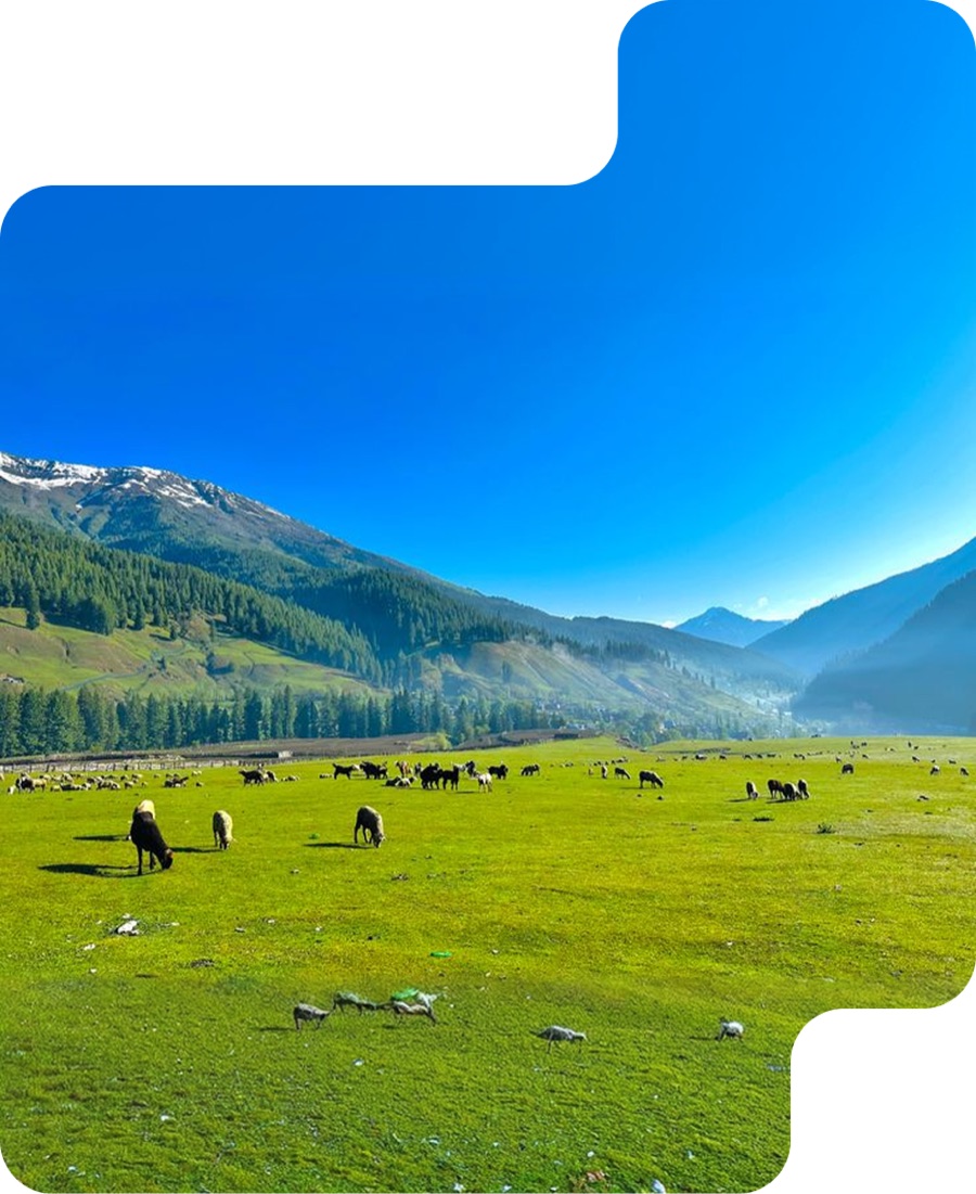 Gurez Valley journey